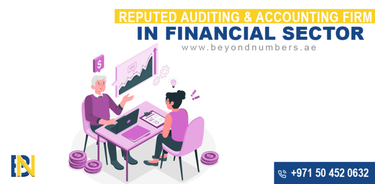 Contact Most Reputed Auditing And Accounting Firm In Financial Sector