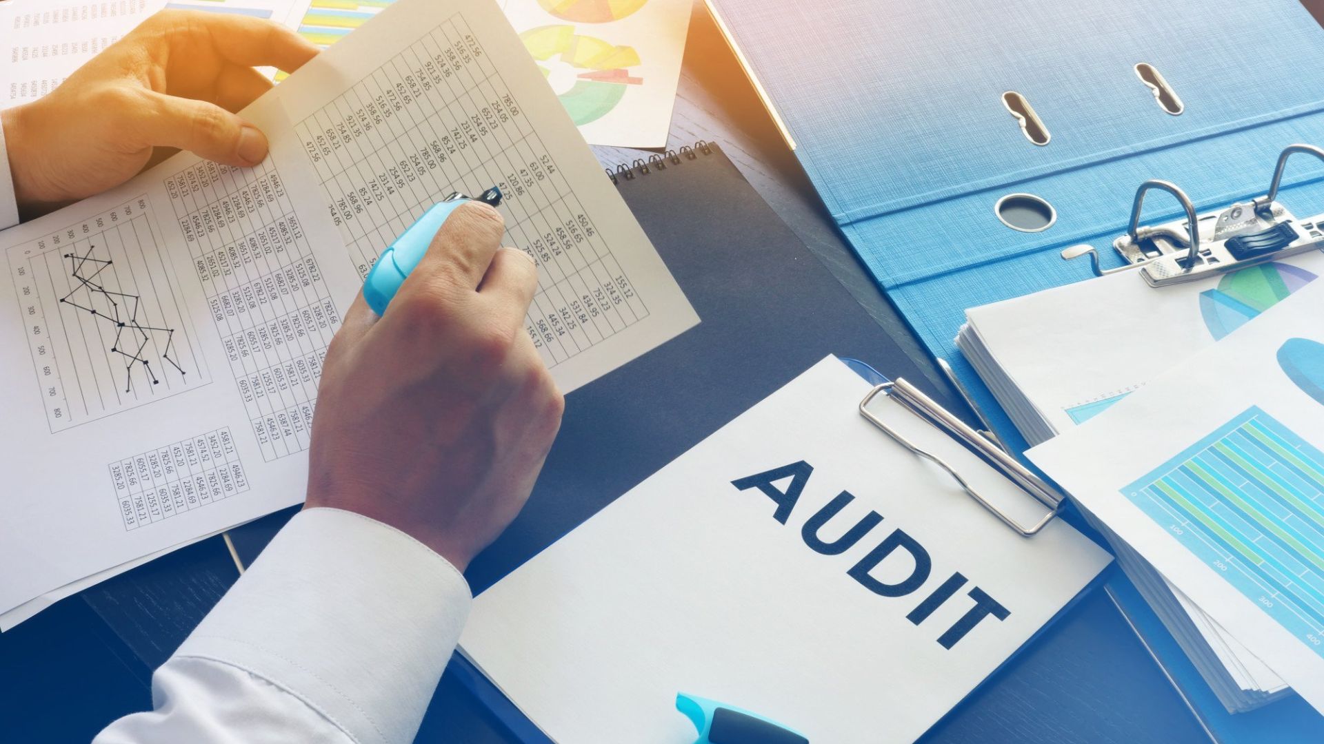 Role of Auditing Companies